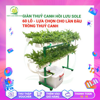 Bộ Trồng Rau Thuỷ Canh Thông Minh - GIÀN SOLE 60 LỖ | Module hoá, dễ lắp chỉ 15'