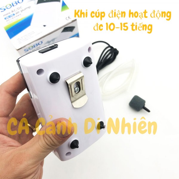 Máy Sủi Khí Oxy Tích Điện Sobo SB-168/SB-268 - Đáp Ứng Mọi Nhu Cầu Của Hồ Cá và Bể Thủy Sinh