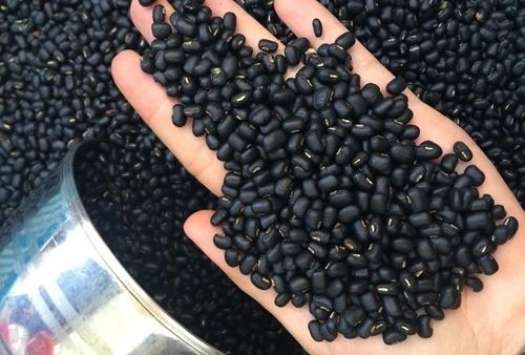 1KG Bột đậu đen xanh lòng,rang xay thủ công