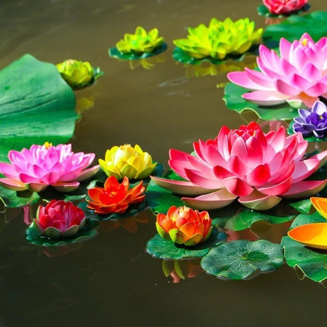 Bông Sen Xốp Thả Nước Trang Trí