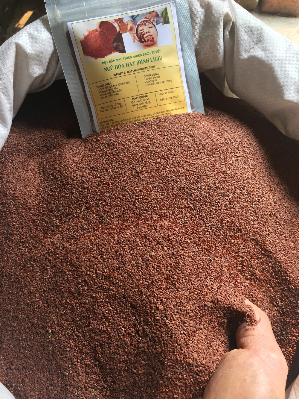 1kg Ngũ Hoa  Hạt Thiên Niên Tử -  Bạch Tuyết  Có Tặng Quà