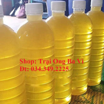 Mật ong tự nhiên hoa bạc hà khai thác từ cao nguyên đá Hà giang