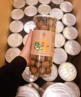 HẠT MACCA ĐÀ LẠT | NGON LẠ ĐÀ LẠT