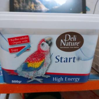 Bột đút chim non DeliBỉ..