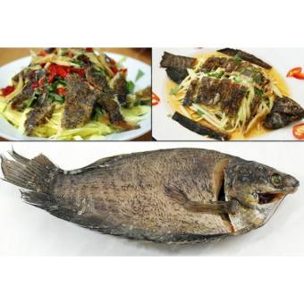 05KG KHÔ CÁ SẶC RẰN ĐÃ BỎ ĐẦU (SẶC BỔI) VỊ VỪA ĂN n