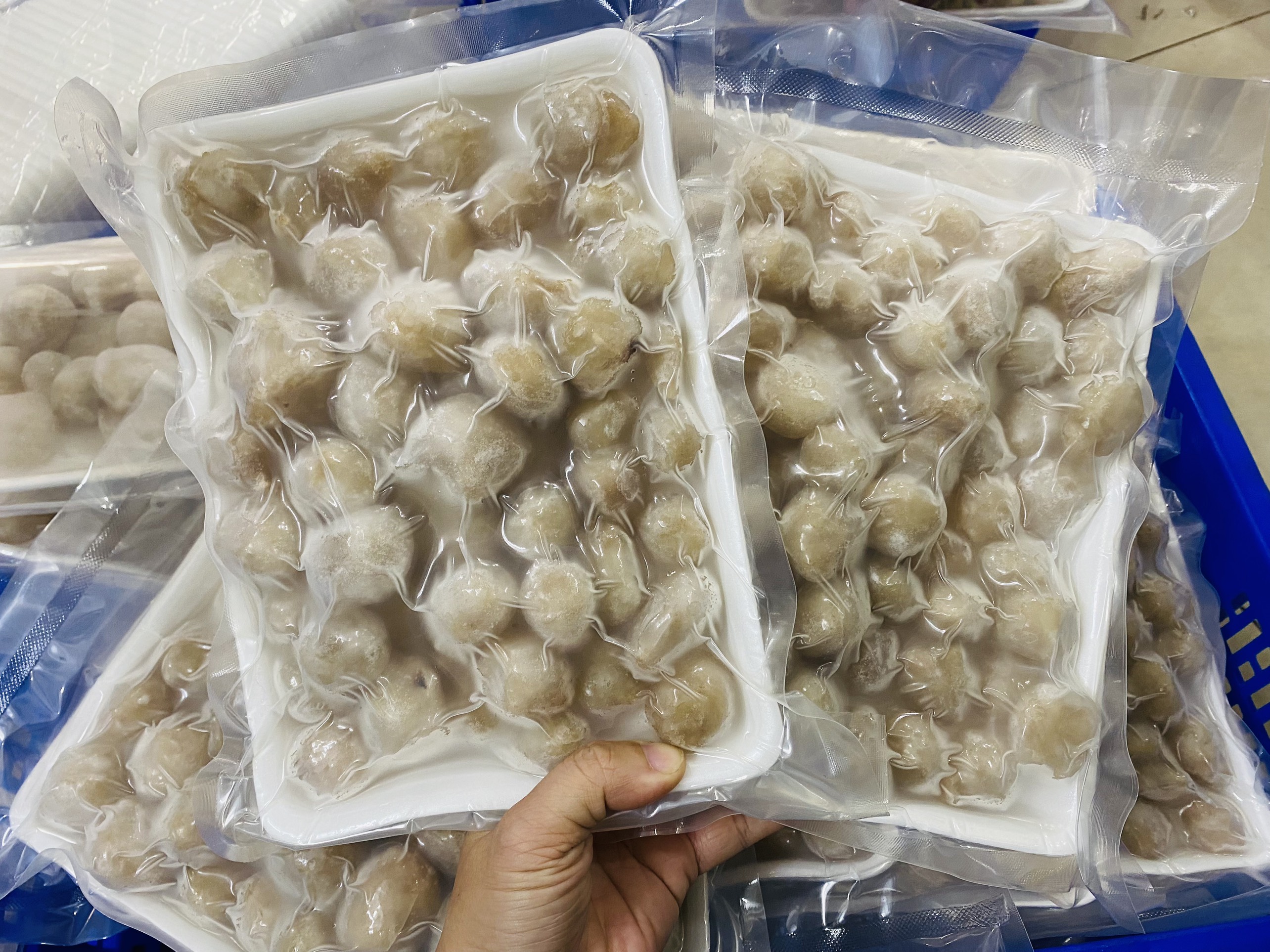 [GIAO NHANH 2H HCM] Giá Sỉ 1Kg Răng Mực Làm Sạch