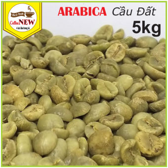 5KG Cafe nhân sống ARABICA Chưa Rang ĐẶC SẢN CẦU ĐẤT Sàng 18 Hàng Chất Lượng Cao Coffee New