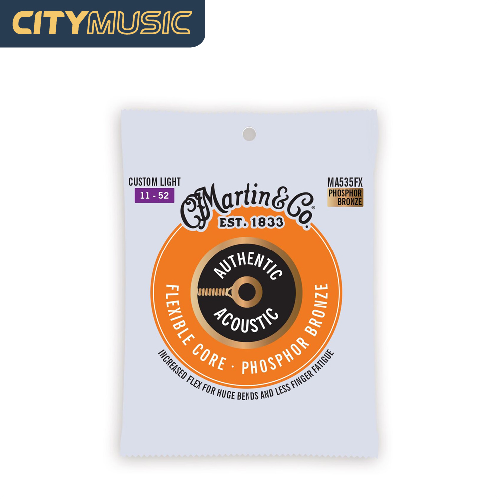 martin 12 string guitar strings