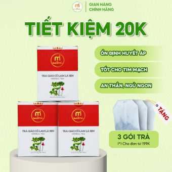 3 Hộp Trà Giảo Cổ Lam Lá Sen ổn định huyết áp, giảm mỡ máu, ngăn ngừa xơ vữa động mạch hộp 60 túi lọc thương hiệu Quà 3