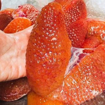 Trứng cá Ngát 500gr (giao tphcm)