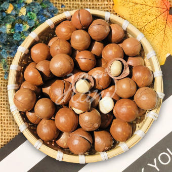 500g Hạt macca Tây Nguyên Sấy Nứt (Có Tặng Dụng Cụ Tách Vỏ) 🌱 HANI FOOD