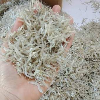 1kg Đặc sản cá cơm mờm sữa siêu ngon