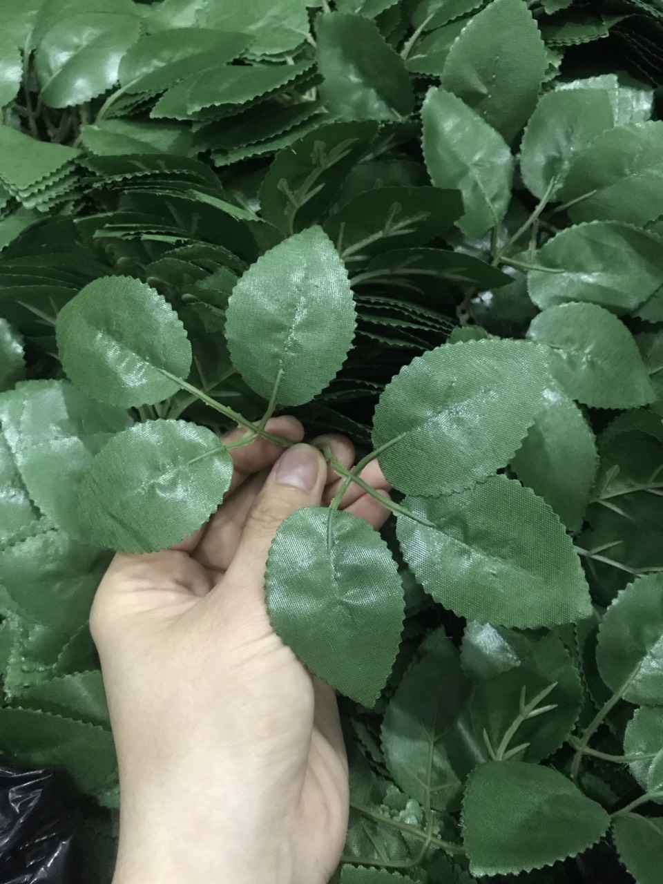 Lá hoa hồng, bịch 100g