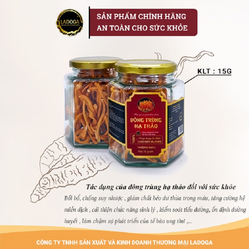 Đông trùng hạ thảo khô - Nấm đông trùng hữu cơ sấy thăng hoa hũ 15g giúp bồi bổ cơ thể, tăng sức đề kháng.