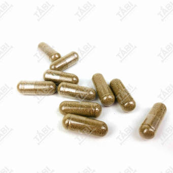 1 VIÊN Artemia Nước Ngọt - Atermia Nước Ngọt Dạng Viên Nhộng.