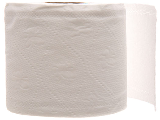 12 cuộn giấy vệ sinh E'mos Classic 2 lớp