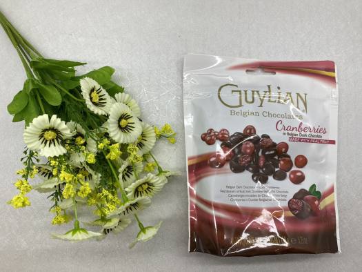 Kẹo Socola Guylian nhân trái cây sấy khô Bluberries-Raisins-Cranberries - Bỉ