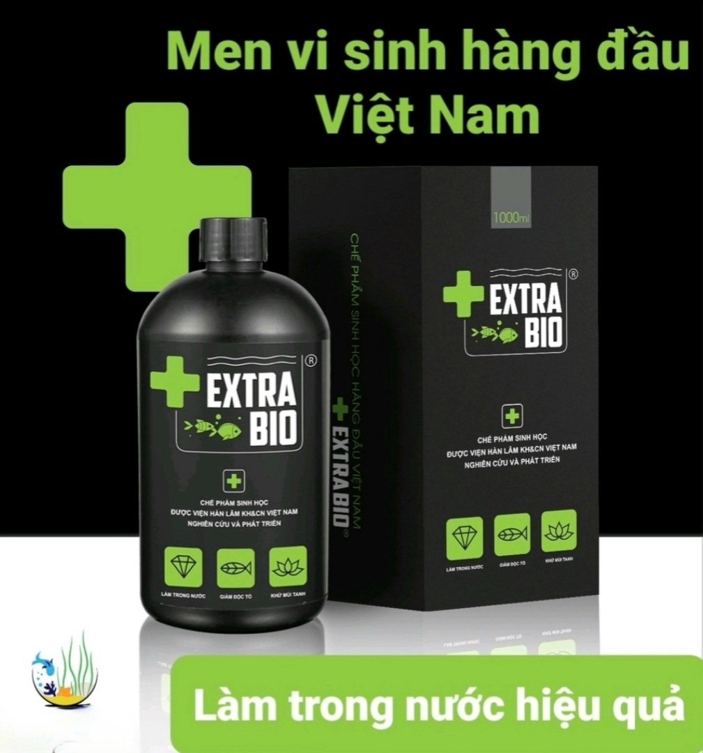 Extra bio vi sinh làm trong nước, giảm độc tố, khử mùi tanh hồ cá,an toàn cho cá cảnh