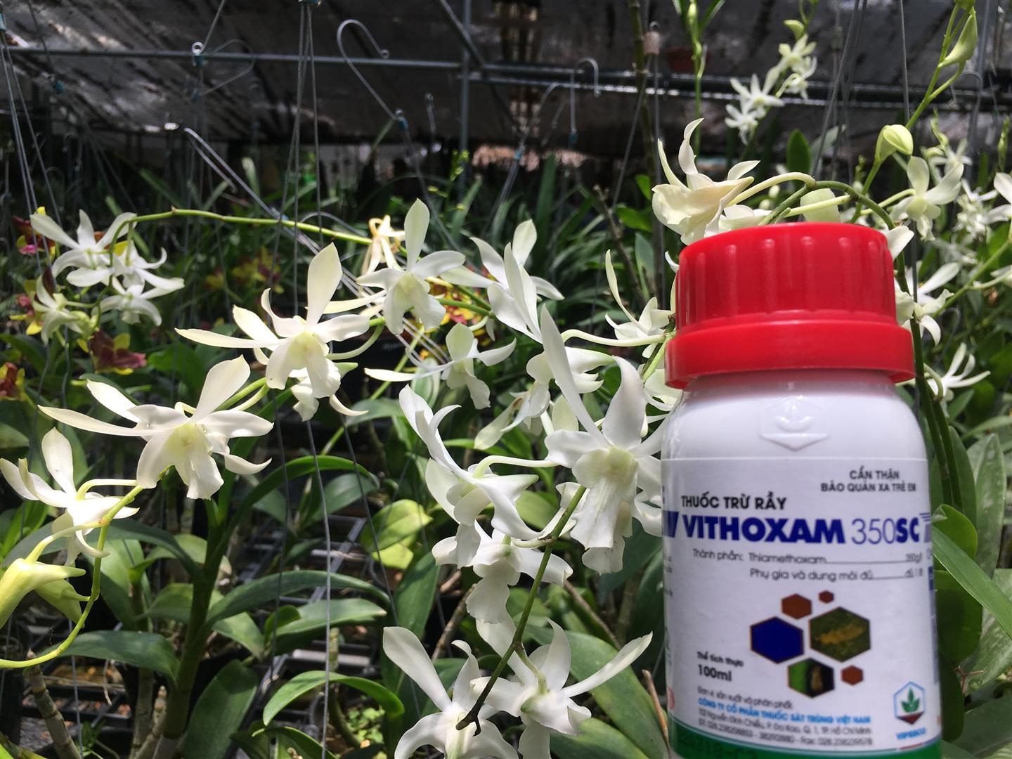 Thuốc trừ rầy vithoxam 350sc -mai huy