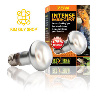 Đèn UVA sưởi ngày Exo Terra dành cho dòng bò sát sa mạc