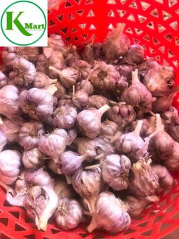 TỎI TÍA - TỎI TÍM - TỎI BẮC ĐÃ PHƠI KHÔ, CẮT CUỐNG