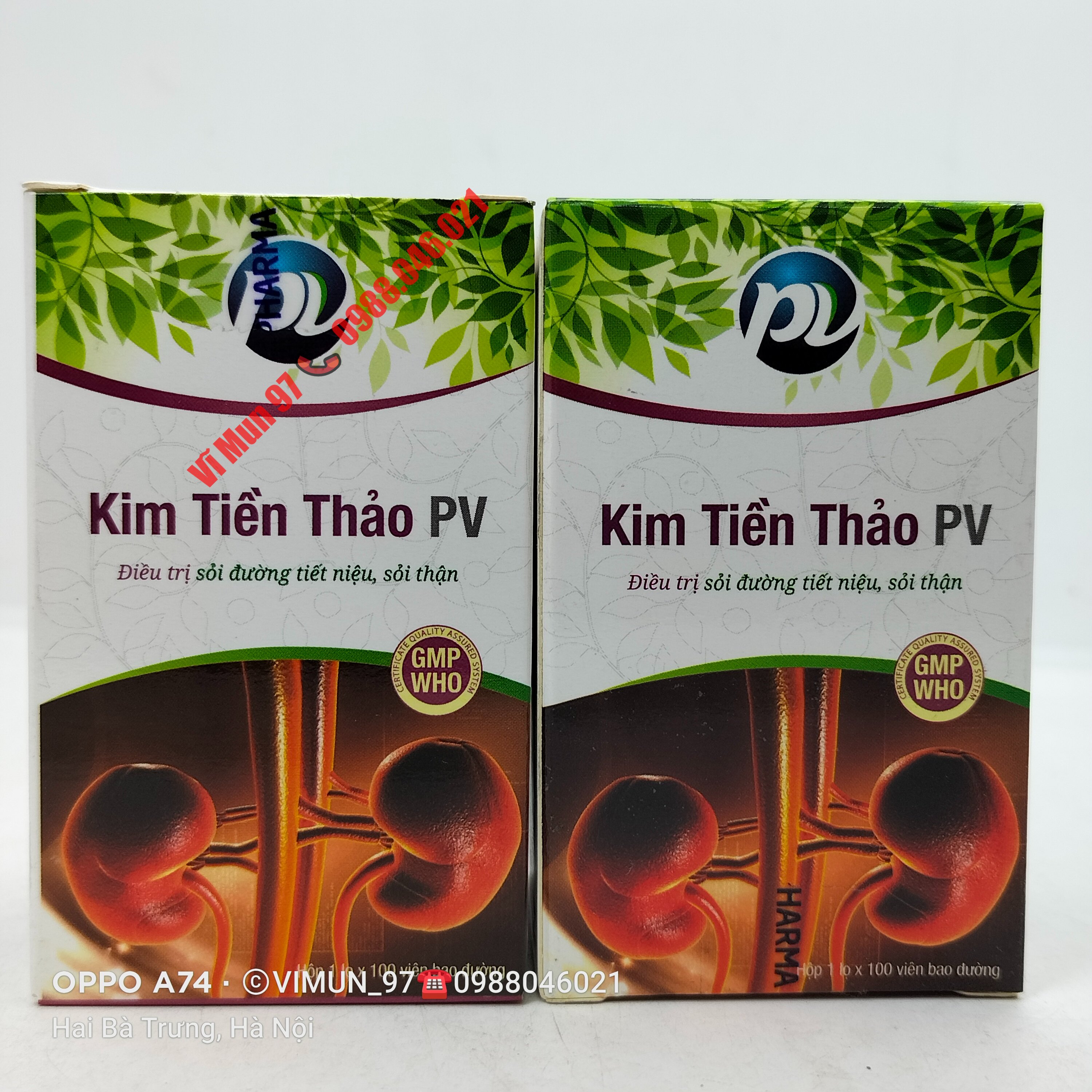 Kim tiền thảo pv lọ 100 viên
