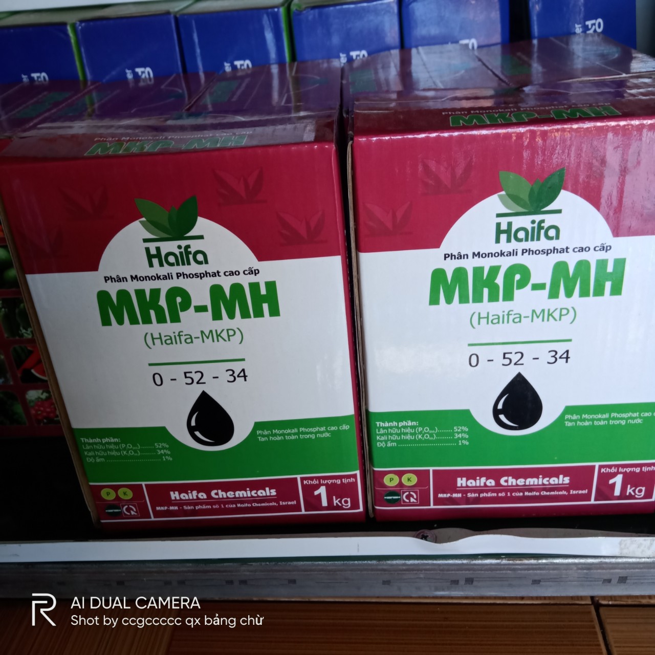 Haifa mkp - mh 0 - 52 - 34 .phân hoá mầm hoa – ra rễ mạnh