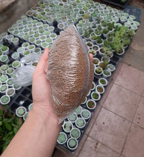 Đất Akadama trồng sen đá, xương rồng , gói 500g