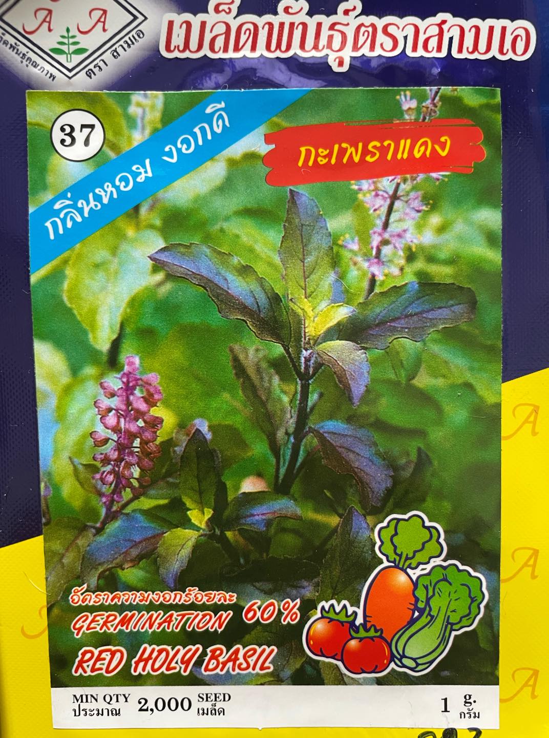 Hạt giống cây Hương nhu đỏ tím nhập Thái lan nguyên gói 1gr