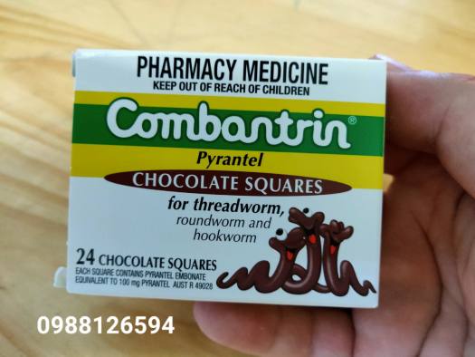 Kẹo socola tẩy giun Combantrin Chocolate Squares 24 của Úc