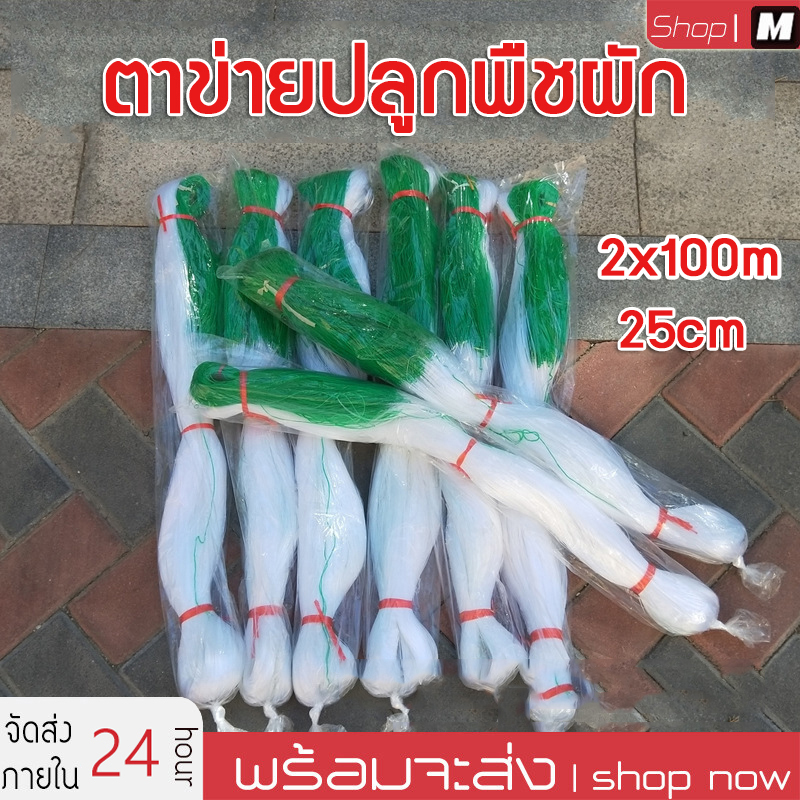 ??พร้อมส่ง??ตาข่ายปลูกผัก โครงไม้เลื้อย ค้างไม้เลื้อย ตาข่ายพลาสติก ตาข่ายไนล่อน ตะข่ายไนลอน ต้นไม้เลื้อย อวนแตง หลักไม้เลื้อย ตาข่ายปลูกแตงกวา ตาข่ายไม้เลือย ตาขายปลูกผัก ตาข่ายทำค้าง ตาข่ายปลูกถั่ว อุปกรณ์ทำสวน ของแต่งสวน อุปกรณ์แต่งสวน ตาข่ายการเกษตร