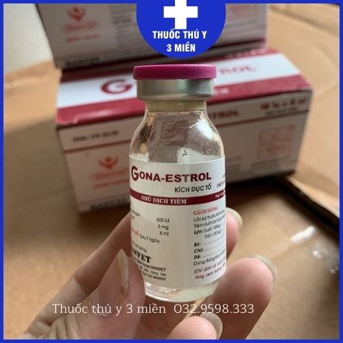 Thuốc thú y gona estrol giúp tăng khả năng thụ thai cho gia súc, sử dụng cho lợn, bò, dê, nghé, cừu chuẩn công ty hanvet