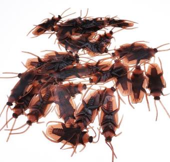 ĐỒ CHƠI CON GIÁN DÀNH CHO CHÓ MÈO