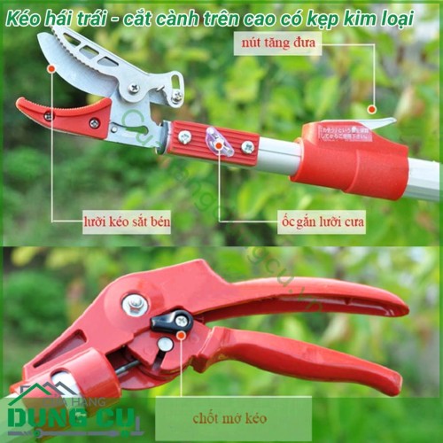 Kéo cắt tỉa cành cây, kéo cắt trái cây trên cao 3m