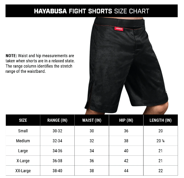 HAYABUSA Hexagon Fight Shorts · v4