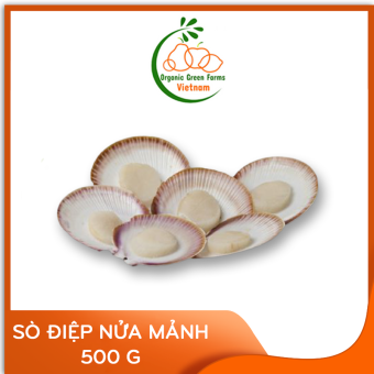 Sò Điệp nửa mảnh (500g) - Thích hợp với các món nướng, hấp, xào,... - [Giao nhanh TPHCM]
