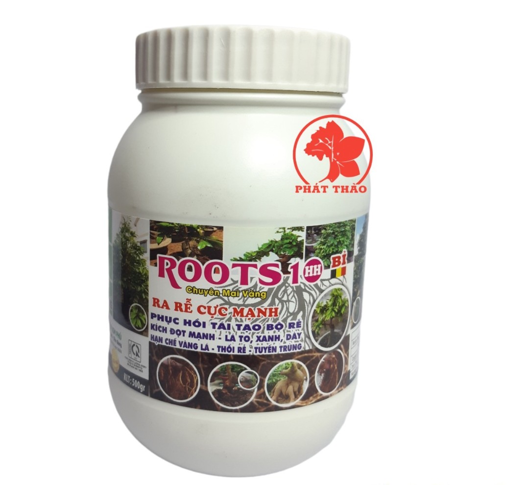 Kích rễ root 10 500garm- bỉ chuyên mai vàng , kích đọt, to lá, xanh dầy, thối rễ, tuyến trùng.