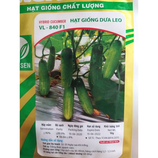 Hạt giống dưa leo Hoa Sen 840