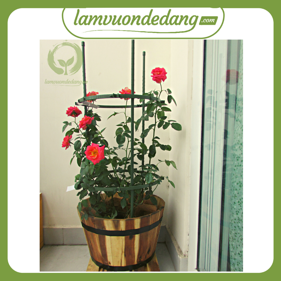 [HCM]KHUNG TRỒNG CÂY HÌNH TRÒN - Hàng chính hãng Nhật Bản - Dùng làm khung giá đỡ cho cây giàn leo giúp cây đứng vững không gãy đổ