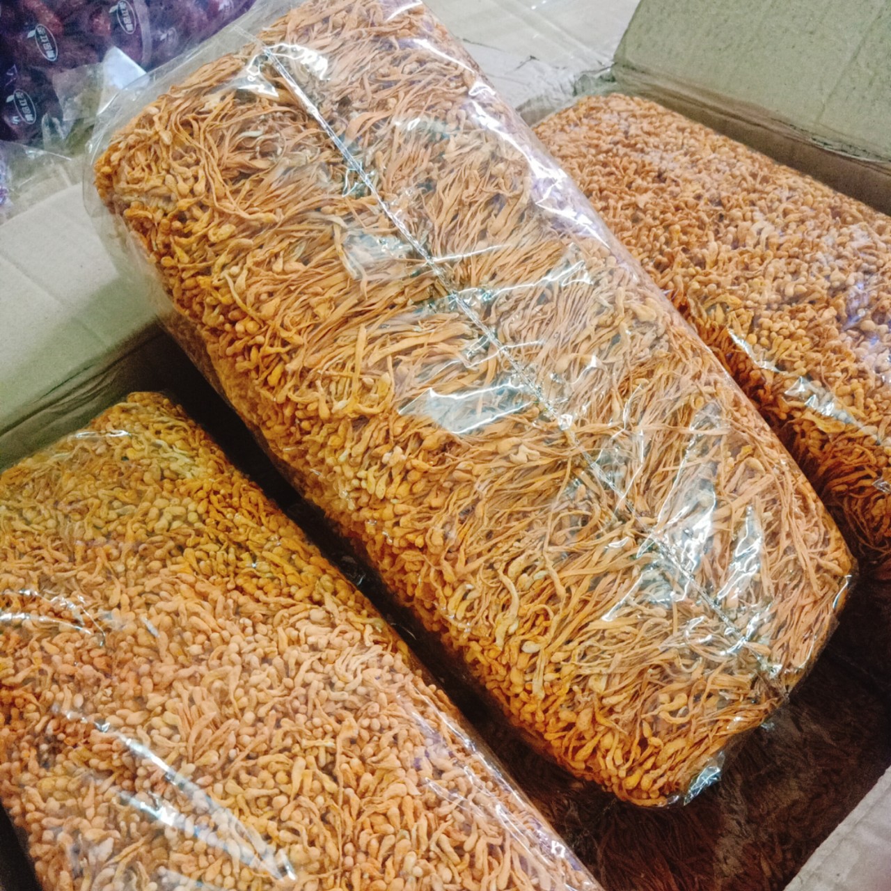 Đông trùng hạ thảo bổ dưỡng 1kg - đông trùng sấy khô vip