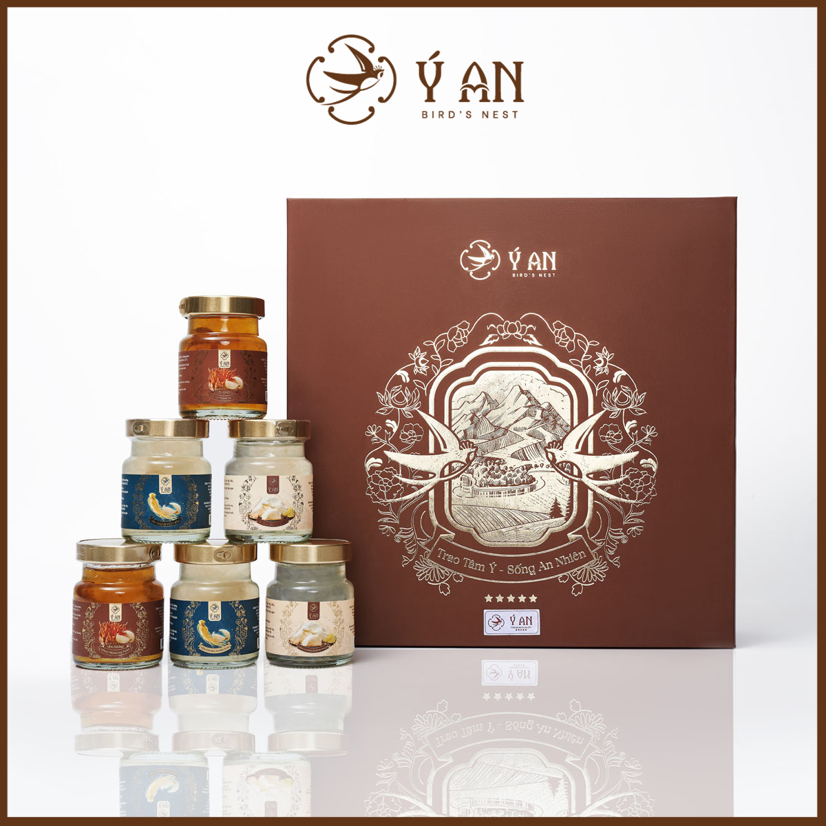 Hộp quà biếu tặng cao cấp Nước yến cao cấp Yến Chưng sẵn tăng cường sức khỏe Yến sào Ý An