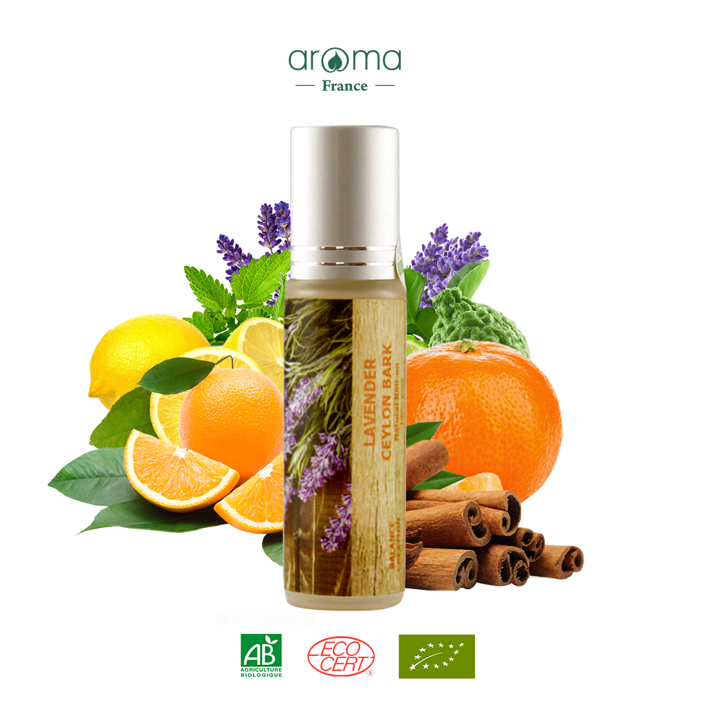 Nước hoa thiên nhiên Aroma Vỏ quế tươi, oải hương Pháp, Oải hương Spike 10ml