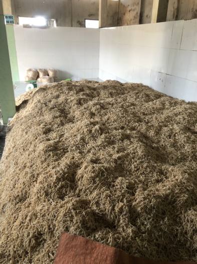 2 Kg Củ Cải Xá Bấu ( cải muối sắc sợi)