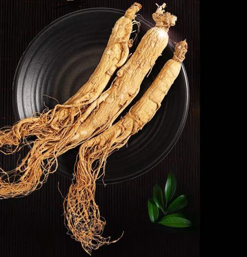 Nhân sâm Trường Bạch Sơn 10 năm tuổi(100g)