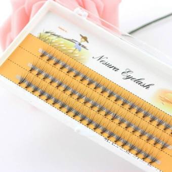 Mi nối dạng chùm hiệu nesura sợi mi nhẹ mềm độ cong tuyệt vời...