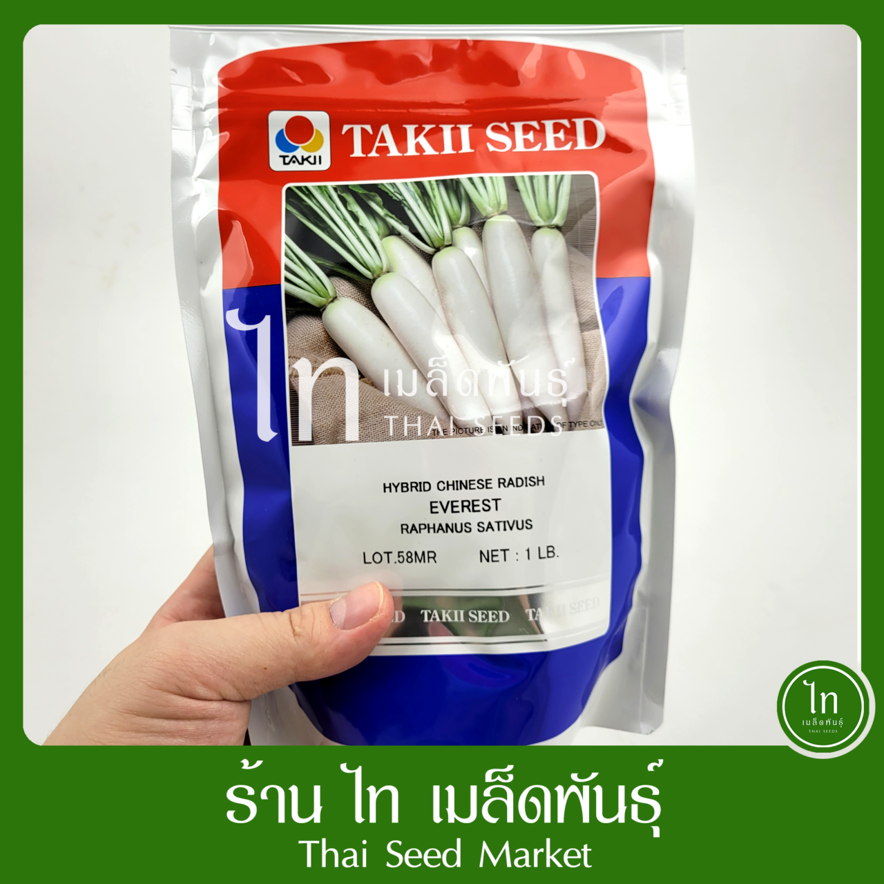 ผักกาดหัว หัวไชเท้า เอเวอร์เรส เอเวอร์เรท เอเวอร์เรสท์ EVEREST เมล็ดผักกาดหัว ตรา เจียไต๋ บรรจุ 450 กรัม ราคา 1,430 บาท*ส่งฟรี