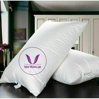 [Drap Nệm Thắng Lợi] - Gối Hơi Nằm Thắng Lợi Size 50 x 70 x 10cm