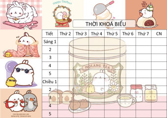 combo 2 thời Khoá Biểu molang TKB5 A5