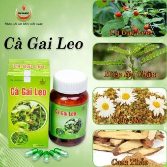 Cà gai leo - Năng động - lọ 60 viên