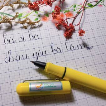 Bút máy Cánh Diều 202 - Ngòi nét tròn